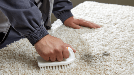Professional Rug Cleaning Point Wilson