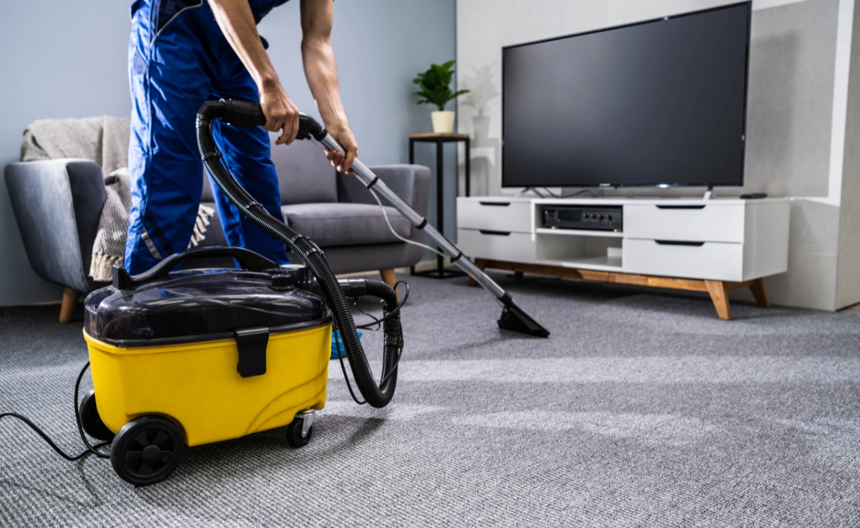 Extract Rug Cleaning Point Wilson Contact Office